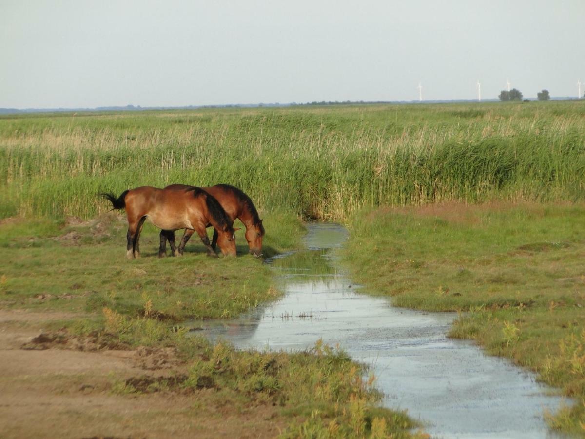 Zacisze Domki Letniskowe Karsibor Swinoujscie Exterior photo